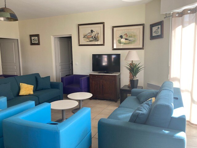 A bright living area features two colorful sofas and a purple armchair surrounding circular coffee tables. A wooden cabinet holds a television, while framed artwork of birds adorns the walls. Natural light enters through large windows covered with sheer curtains.