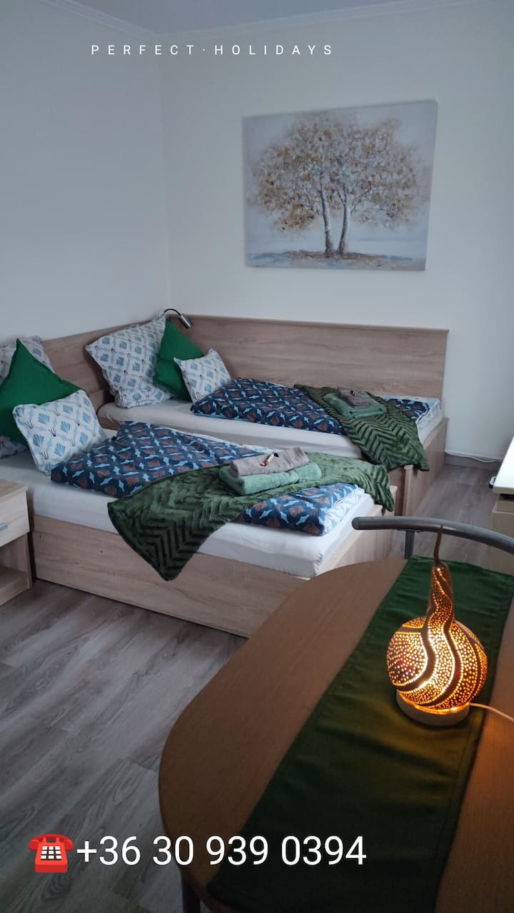 Fehérvár Cappuccino Apartman - Székesfehérvár