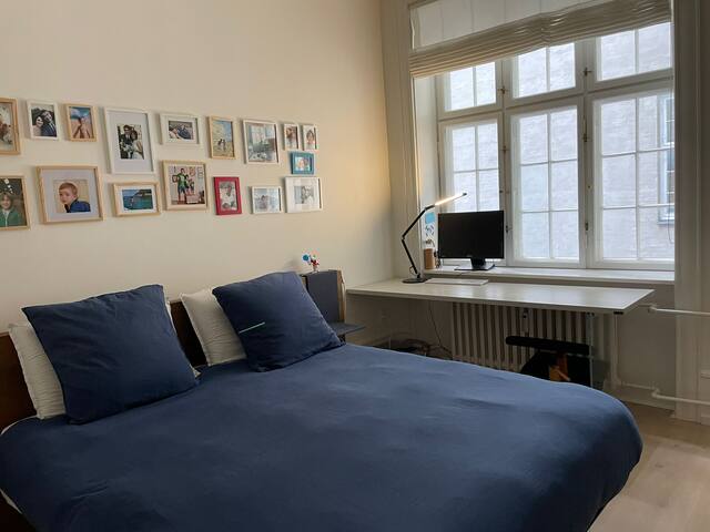 Spacious family home in the city centre gallery image 4