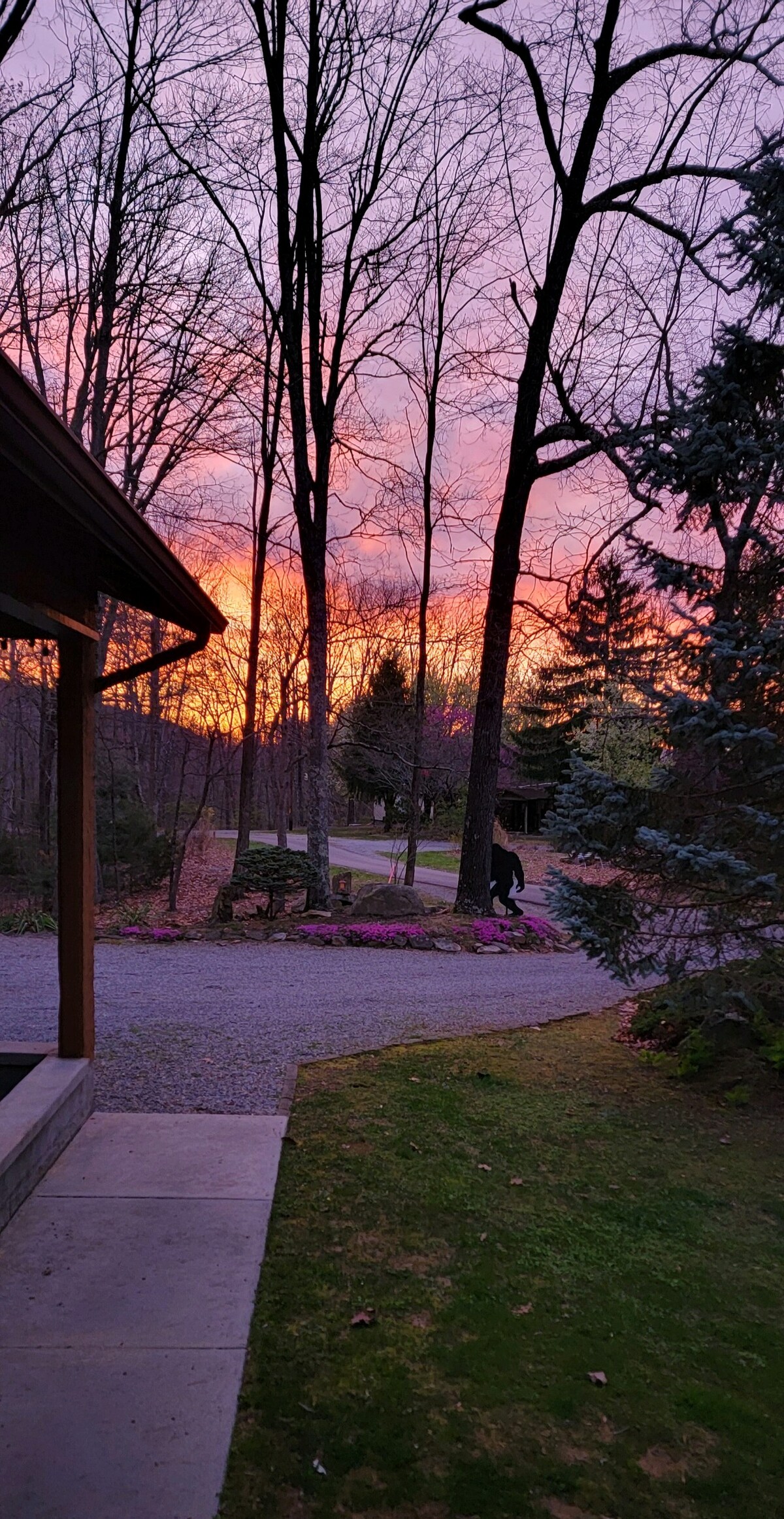 Sunsets, hot tub, firepit, pets Cabins for Rent in Sevierville