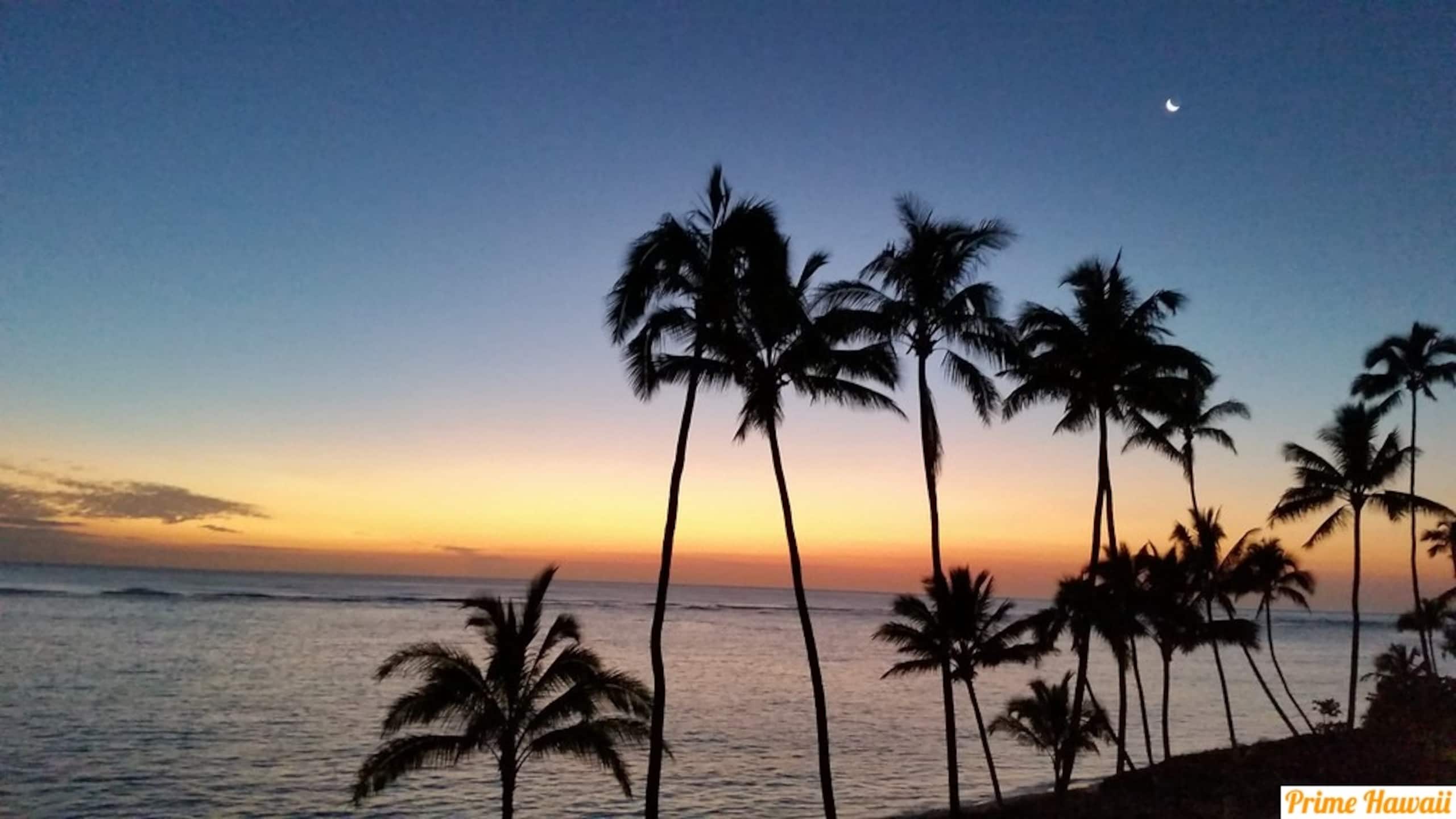 Condo in Hauula · ★4.83 · 1 bedroom · 2 beds · 1 private bath - Image 25