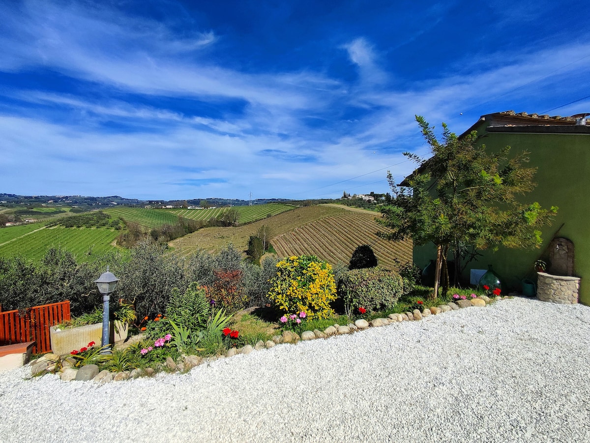 The exterior landscape features gently rolling vineyards under a bright blue sky. A garden with colorful flowers and greenery borders a gravel pathway, inviting guests into the tranquil countryside. The natural scenery provides a serene backdrop for relaxation.