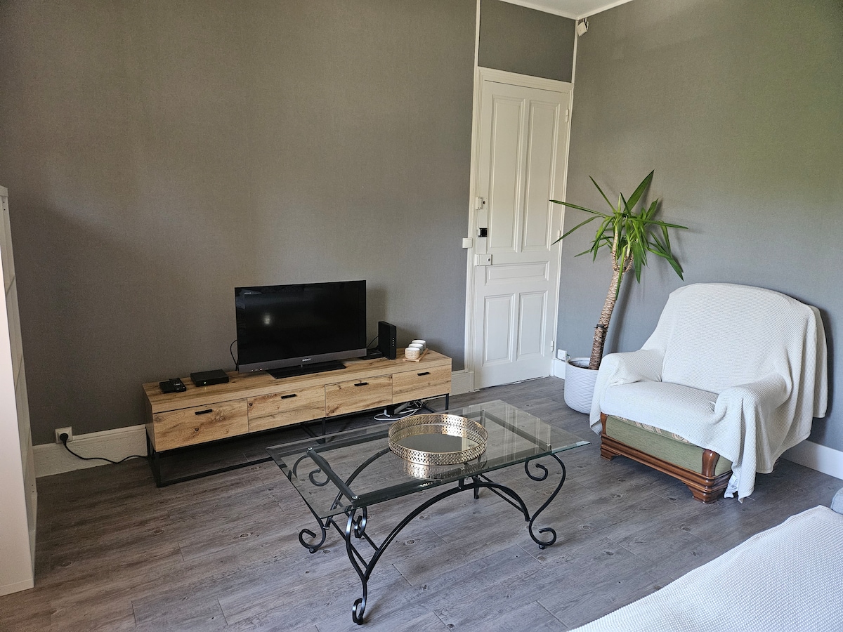 The living area features a light gray wall, a wooden TV stand holding a flat-screen television, and a glass coffee table. A comfortable armchair is positioned nearby, draped with a light blanket. A potted plant adds a touch of greenery to the space.