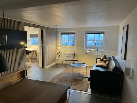 Top performing Airbnb: Nice bright basement apartment in Hjørring