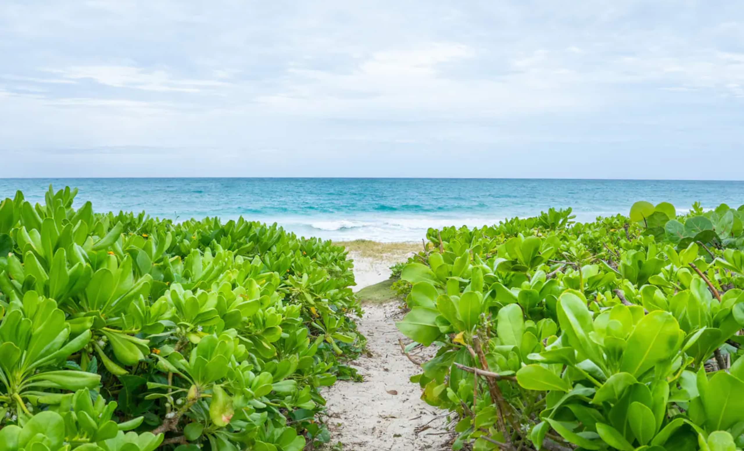Home in Kailua · ★4.85 · 2 bedrooms · 2 beds · 3 private baths - Image 49