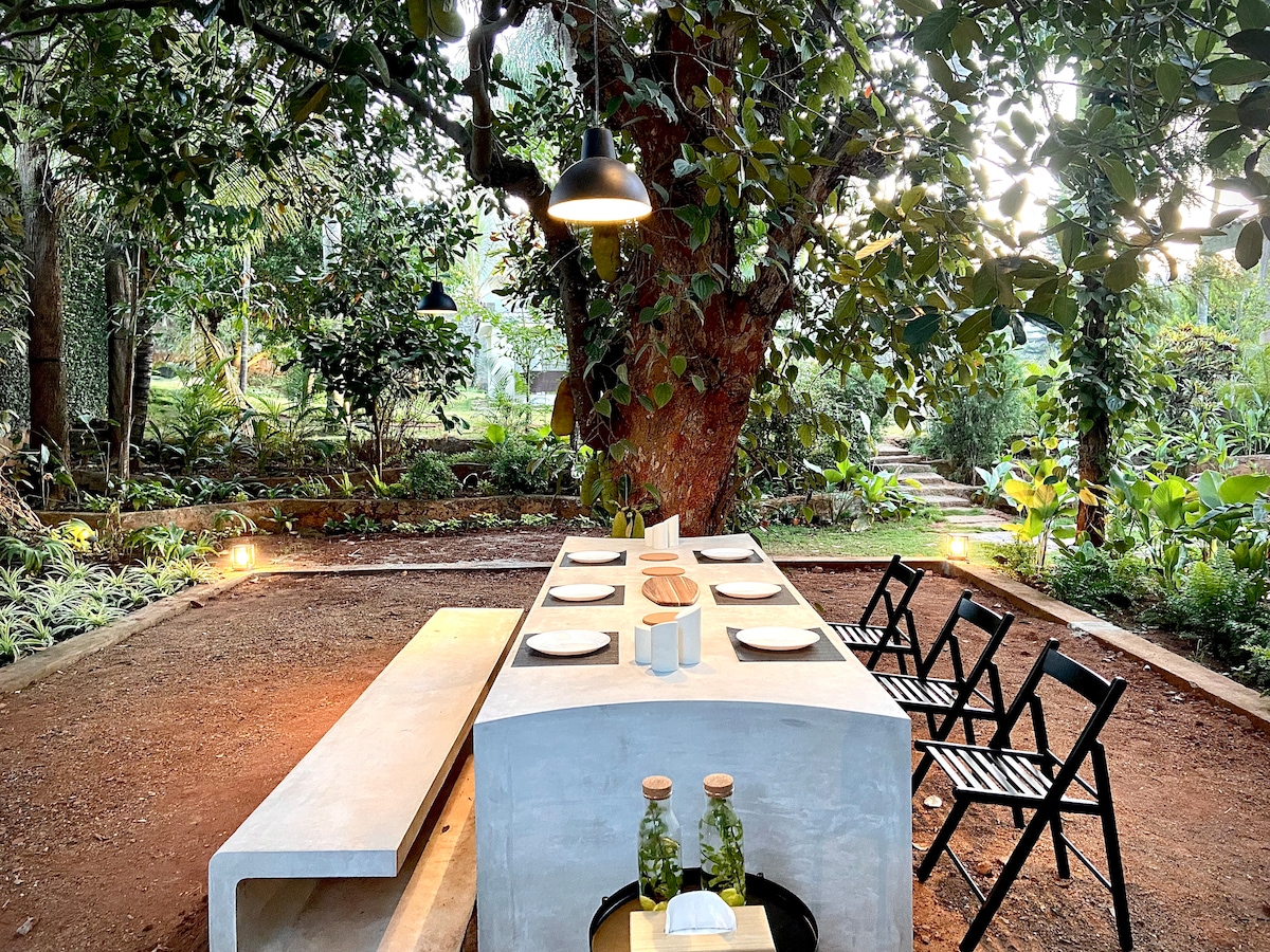 An outdoor dining area is set beneath a large jackfruit tree, featuring a long concrete table accompanied by neatly arranged chairs. Soft lighting fixtures hang above, illuminating the space surrounded by lush greenery, creating a serene atmosphere for communal meals.