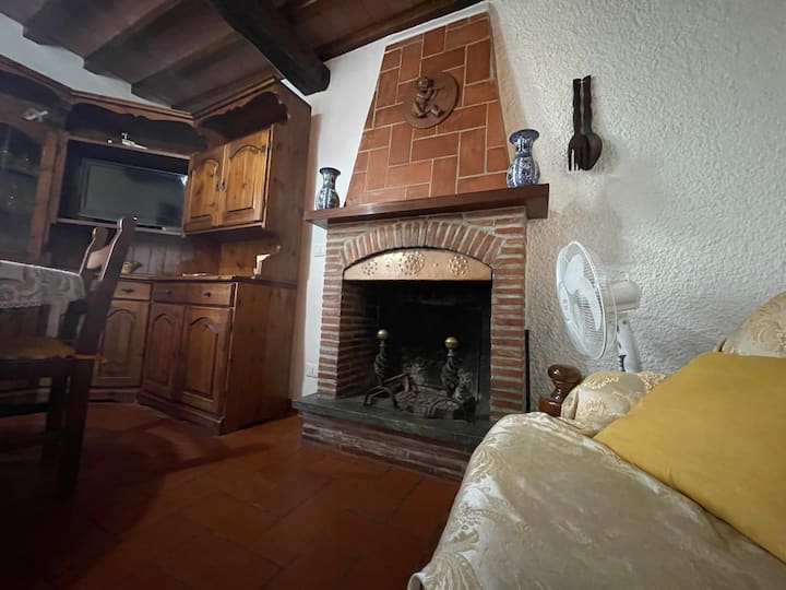 Casa Rosa Con Servizio Massaggi Olistici. - Viareggio