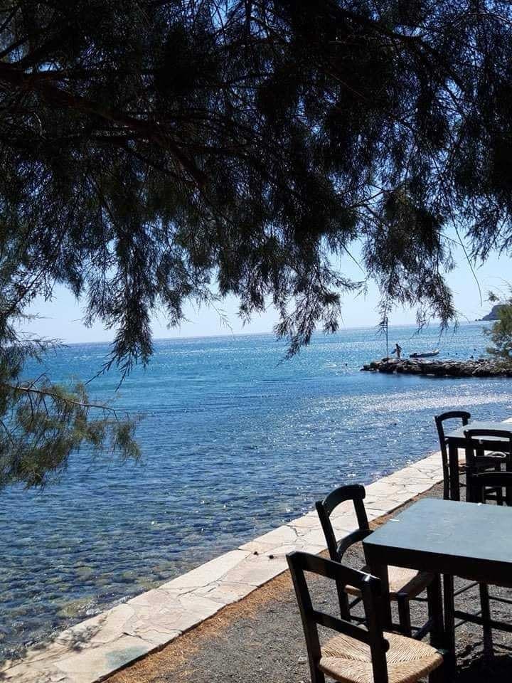 A scenic view of a clear blue sea is framed by overhanging branches. A stone pathway runs alongside the water, with a few wooden chairs and a table positioned on the edge, creating a peaceful spot to enjoy the surroundings.