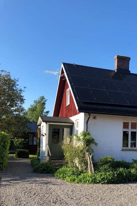 The White Cottage