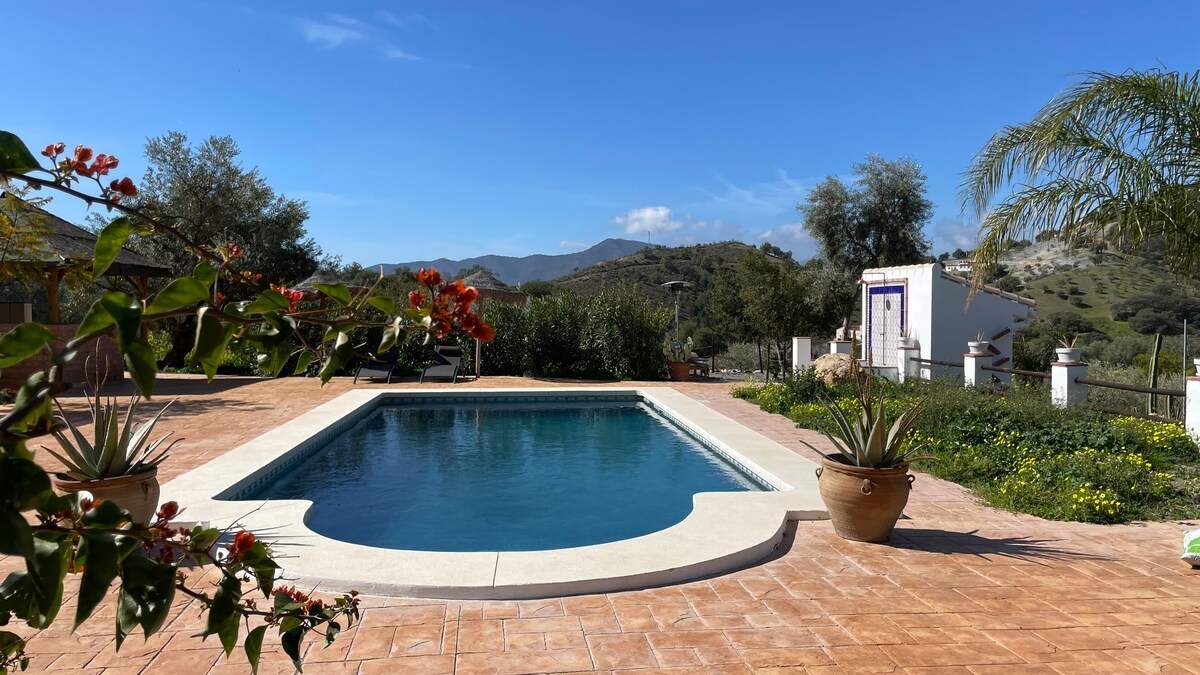 A rectangular swimming pool is framed by a spacious patio. Surrounding greenery, including flowering plants and tall palms, complements the serene mountain backdrop. The clear blue sky enhances the tranquil setting, inviting relaxation by the water.