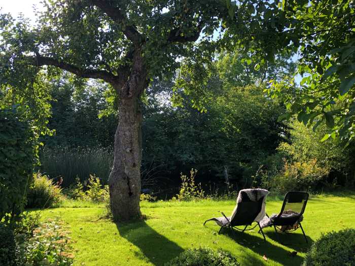A peaceful garden area is shown with two lounge chairs positioned on a well-manicured lawn. A large tree provides shade, and lush greenery surrounds the scene, enhancing the natural setting. The tranquility of the space is complemented by the distant presence of water and plants.