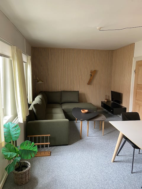 Apartment sleeps 6
