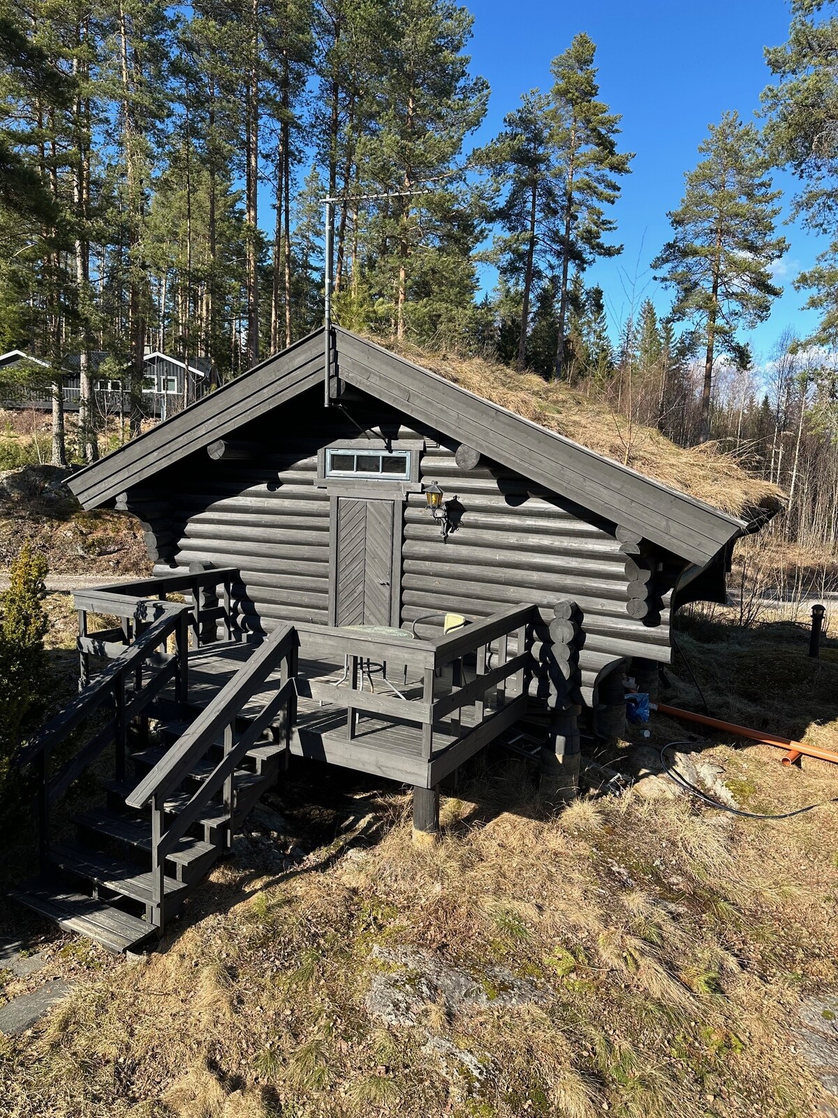 A rustic cabin is surrounded by trees, featuring dark wooden logs and a thatched roof. A small porch with stairs leads up to the entrance, which is framed by a window and a light fixture. Natural scenery is visible in the background under a clear blue sky.