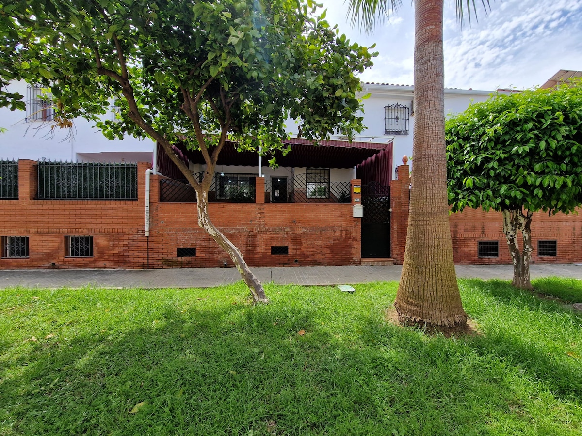 The exterior showcases a charming brick façade complemented by lush greenery. A covered entryway provides shelter, while palm and other trees frame the front yard. Sunlight filters through the leaves, creating a pleasant environment accessible to families seeking outdoor space.