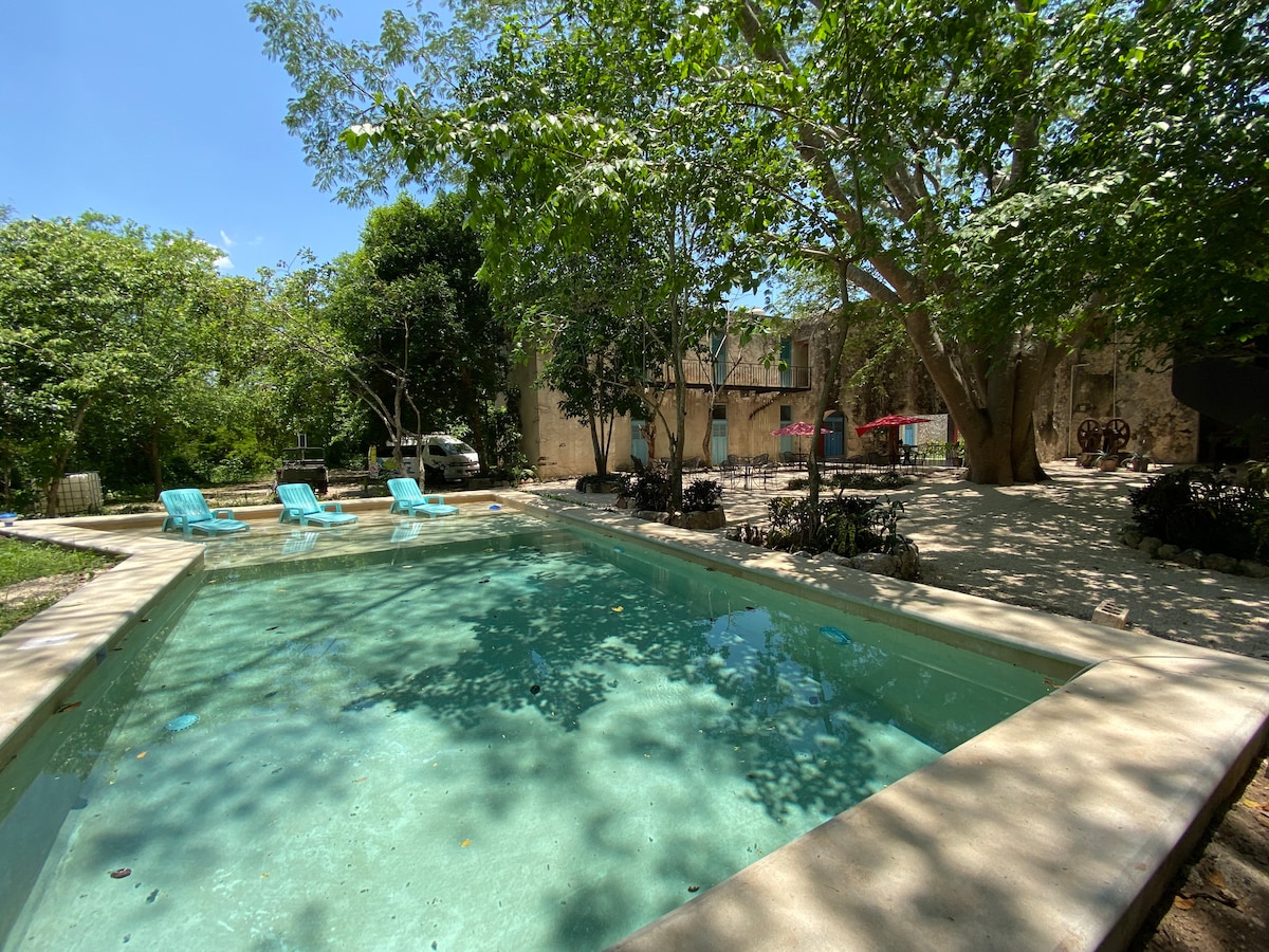 A tranquil swimming pool is surrounded by lush greenery, with four aqua blue lounge chairs positioned nearby. The water reflects the sunlight, creating a serene atmosphere. In the background, the building's walls are partially obscured by trees, contributing to the natural setting.