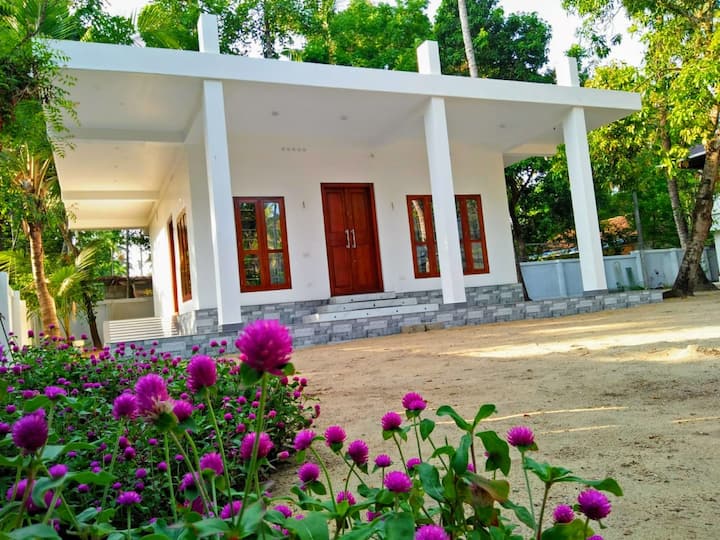 Coconut Garden Open Suite Or Studio - Kochi, India