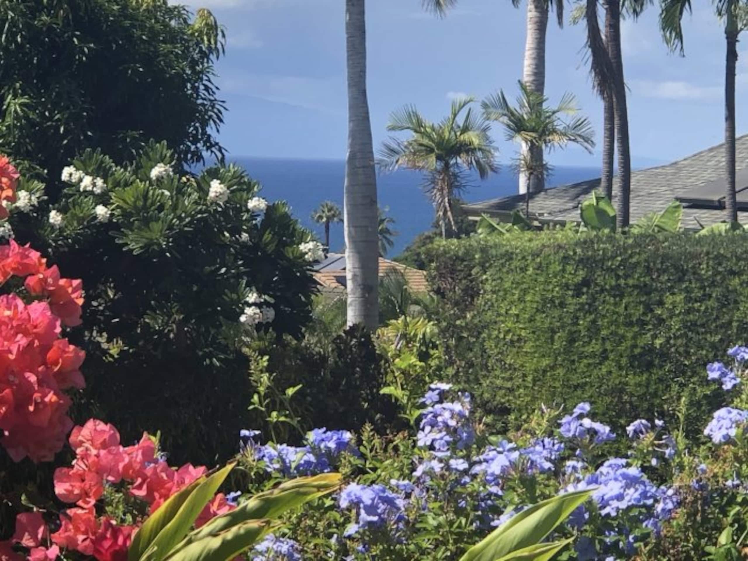 Home in Kihei · ★4.88 · 3 bedrooms · 5 beds · 2 baths - Image 34