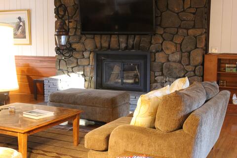 Mid-century Modern Cabin