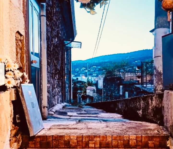 La Casa Dei Fiori - Trieste