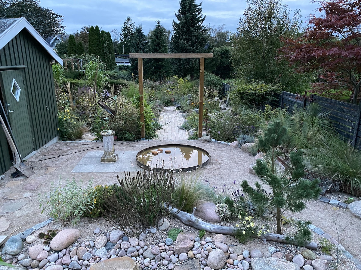 A garden scene is displayed, featuring a gravel path lined with various plants and boulders. A circular pond reflects the surroundings, and a wooden archway frames the path. A shed stands in the background, surrounded by greenery and decorative elements.