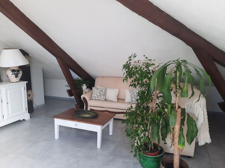 Appart Avec Jardin St Honore - La Mure
