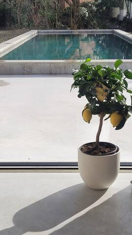 Renovated villa+pool near Ghent gallery image 3