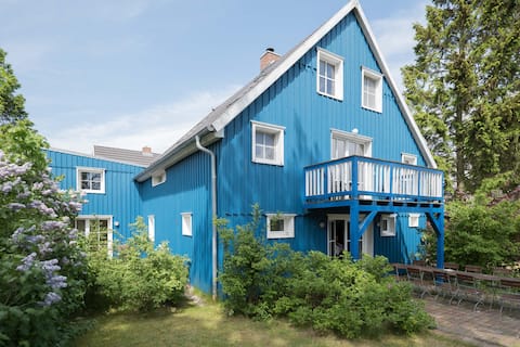 The Blue Swallow's Nest
Prerow