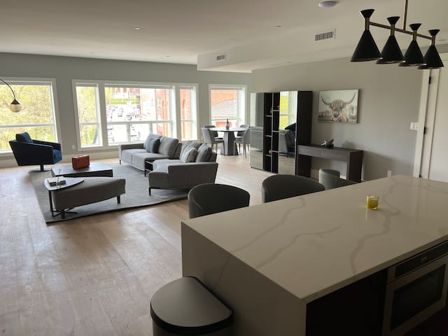 Luxury 3 bedroom 3 bathroom downtown loft