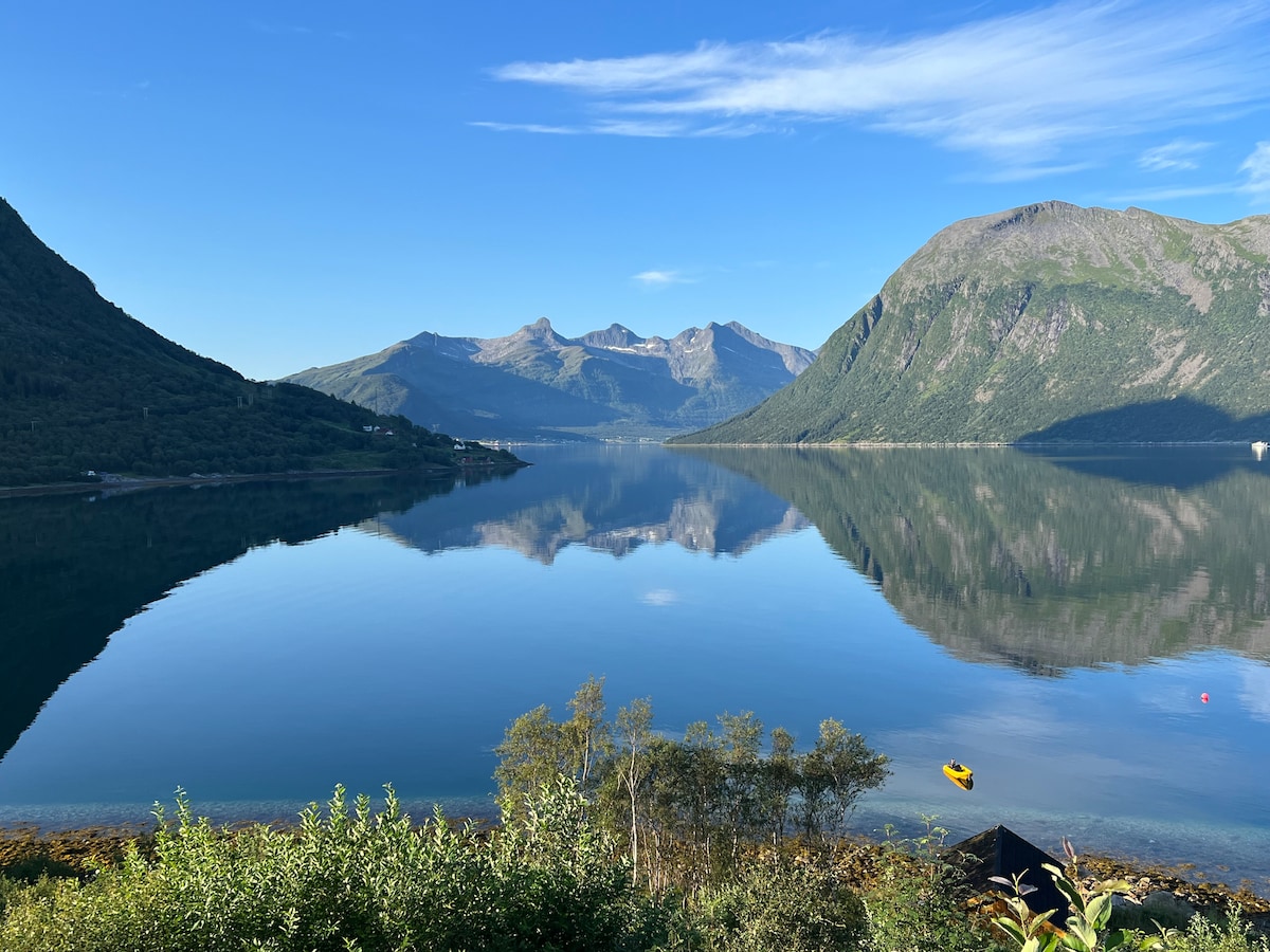A serene landscape captures a calm fjord reflecting surrounding mountains under a clear blue sky. Lush greenery lines the foreground, with a small yellow kayak bobbing gently on the water's surface, inviting exploration of the tranquil setting.