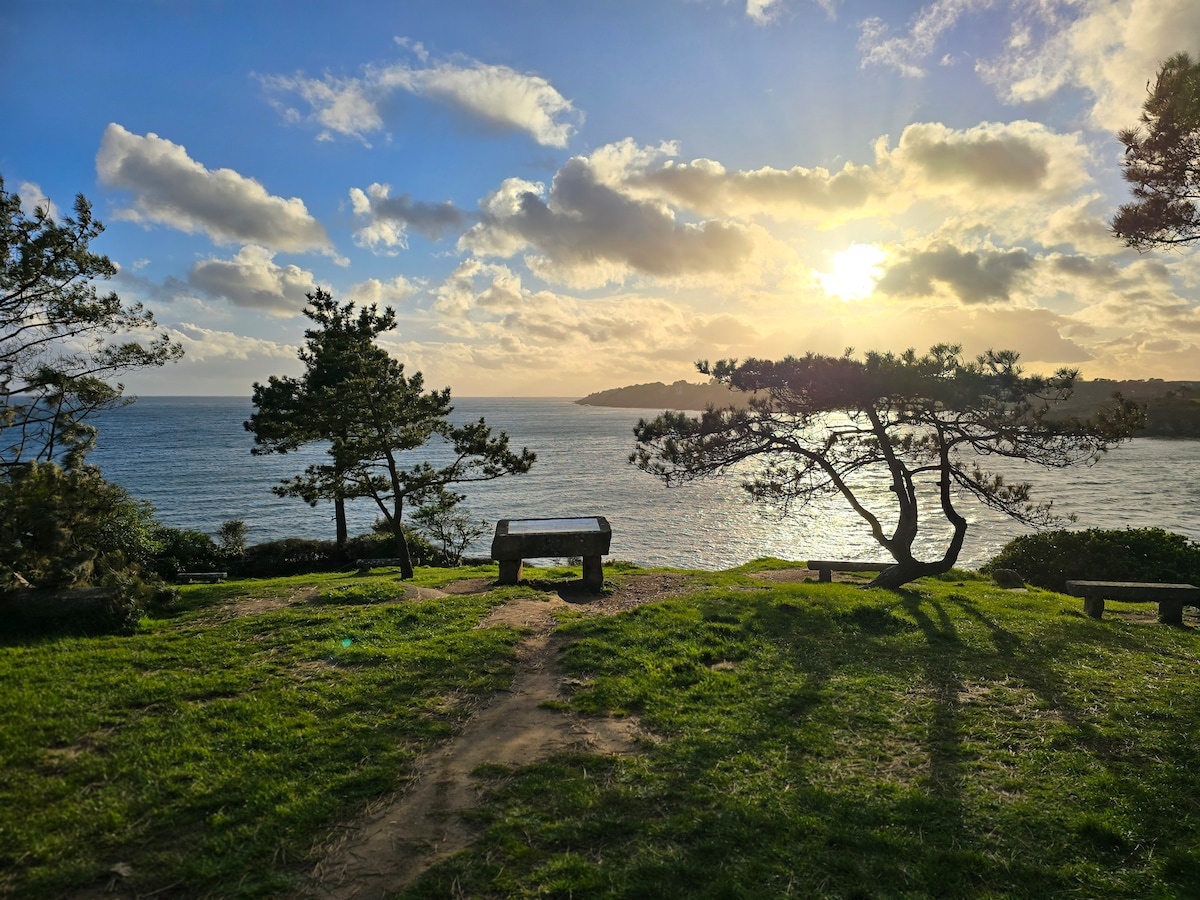 A scenic view is presented, featuring the sun setting over the water, casting a warm glow on the surface. Several trees frame the scene, and a bench is positioned on a grassy area, inviting moments of relaxation while taking in the coastal landscape.