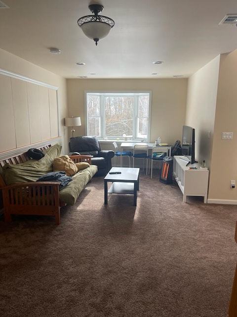 Forest setup, Princeton Woods opt2