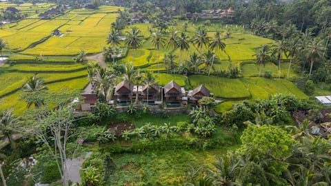 Private pool by ricefields