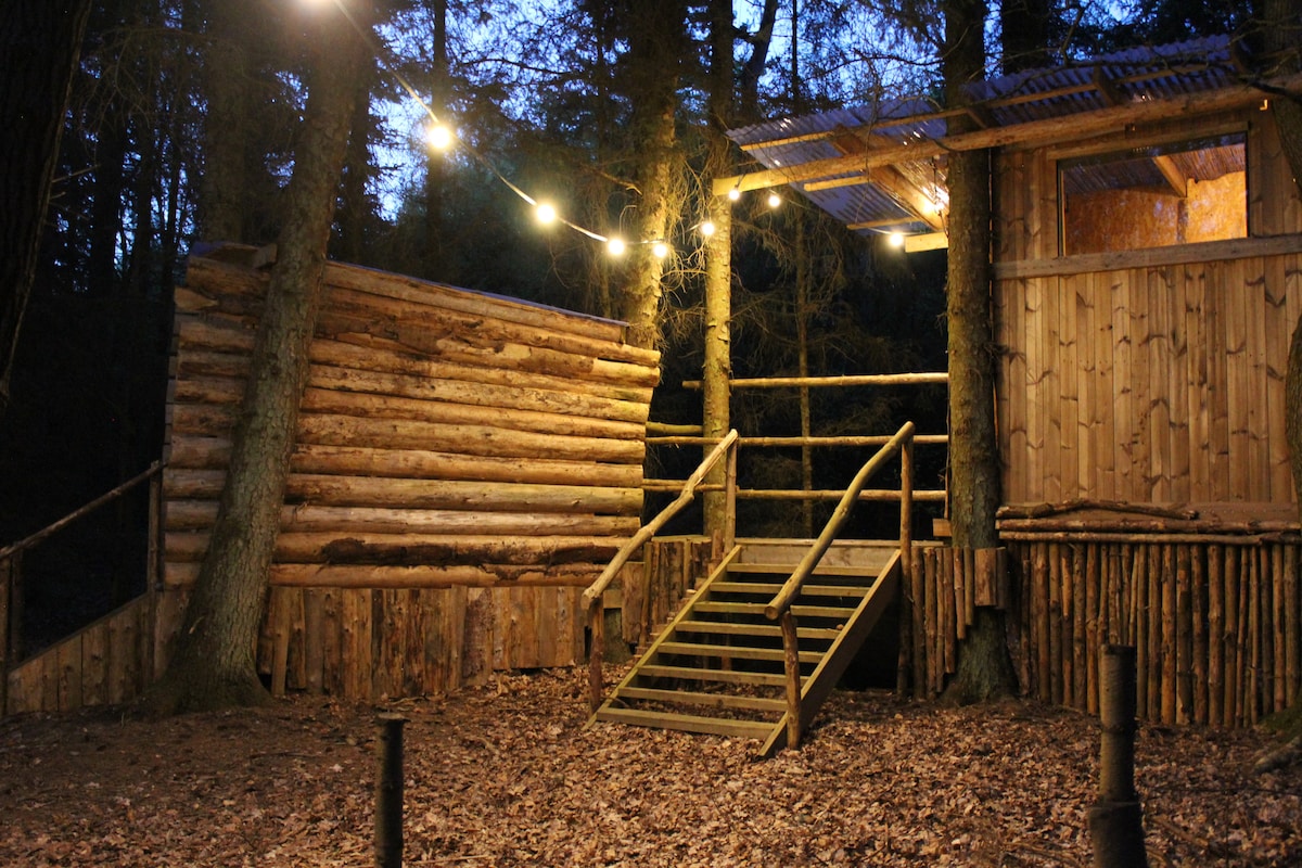 A wooden structure crafted from logs is set among trees, featuring a welcoming staircase. Soft lighting from overhead strings enhances the outdoor space, providing visibility in the twilight. Natural foliage and a leaf-covered ground are visible, suggesting a tranquil atmosphere.