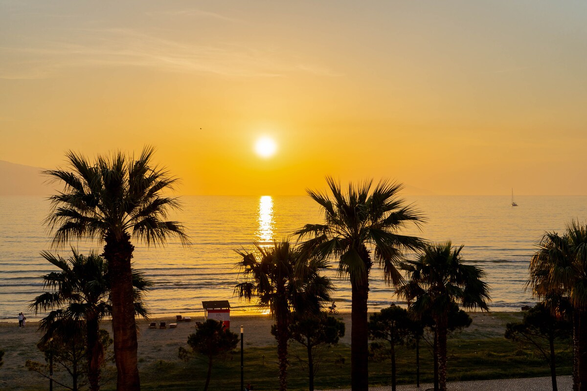 Listing 1135474705899696769