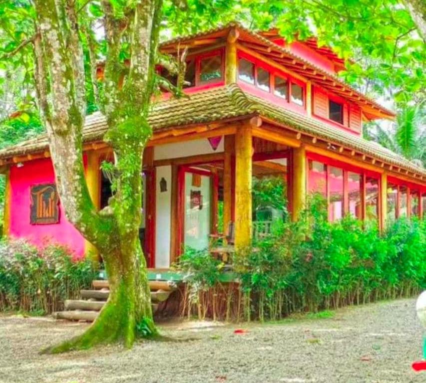 A colorful structure is framed by lush greenery, featuring large windows that invite natural light. The exterior is painted in warm hues, complemented by wooden accents and a tiled roof. Surrounding landscaping includes a variety of trees and shrubs, creating a serene environment.