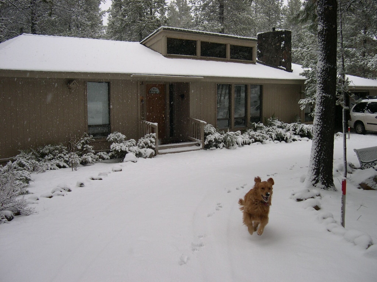 A cozy home is set against a snowy landscape, with snow covering the roof and ground. A path leads to the entrance, surrounded by low shrubs. A golden retriever runs joyfully in the foreground, creating a vibrant contrast against the white snow.