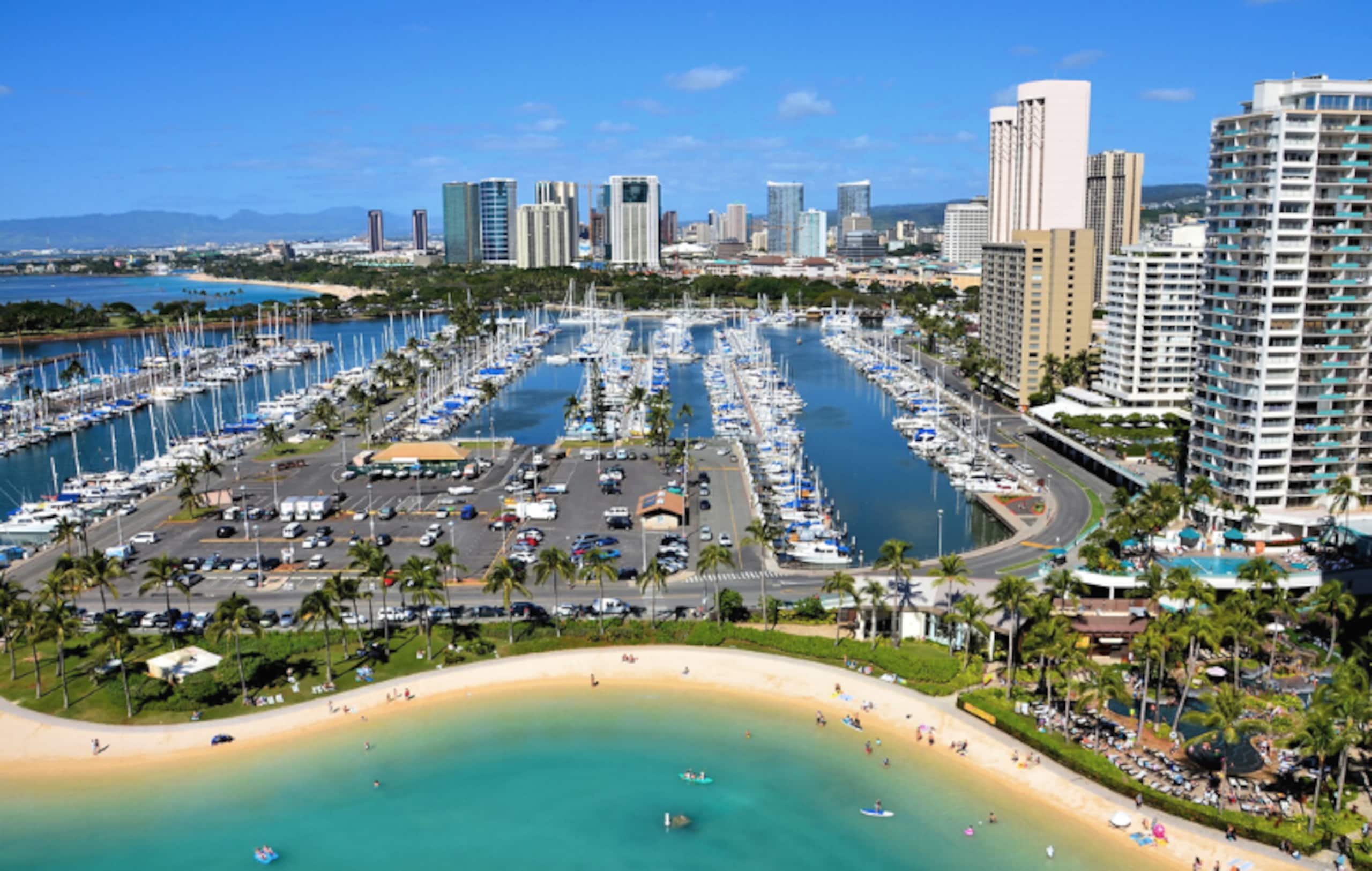 Gorgeous Beachfront Condo (parking / 2 pools!) - Image 43