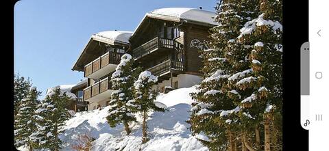 6,5-Zimmer-Wohnung Chalet Adler
