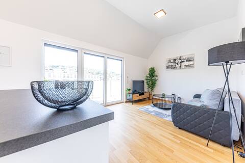 Calm & Valuable - Luxury Penthouse near Vienna (6)
