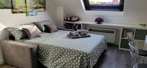 Loft Studio Milan 3 - Humanitas