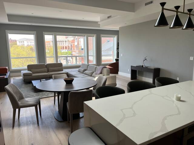 Penthouse luxury suite. Huge great room. 3 beds. gallery image 2