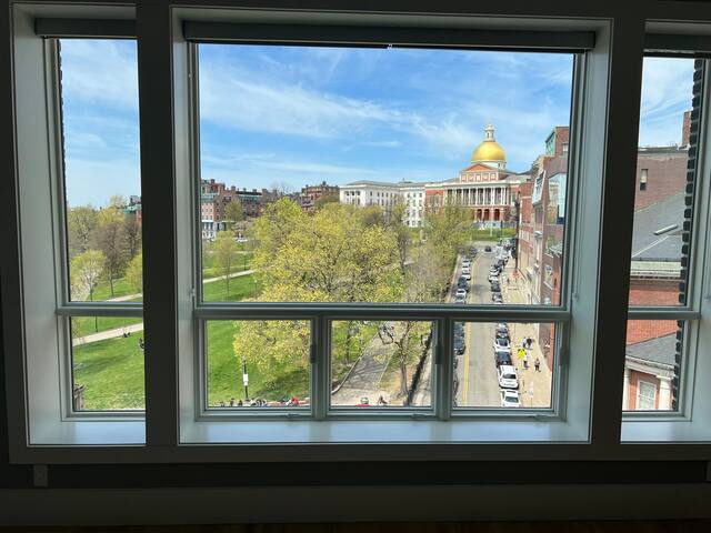 Penthouse luxury suite. Huge great room. 3 beds. gallery image 4