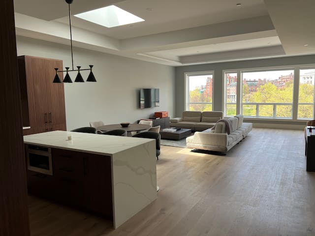 Penthouse luxury suite. Huge great room. 3 beds.