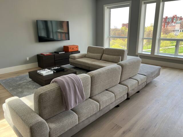 Penthouse luxury suite. Huge great room. 3 beds. gallery image 3