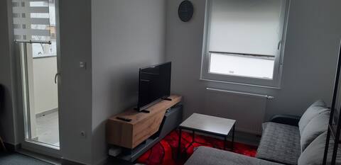 Successful Airbnb property: Albatros Apartman 2 in Gornja Dubrava