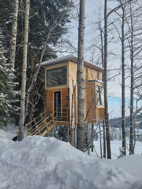 LAUV Tree Top Cabins-Ospero