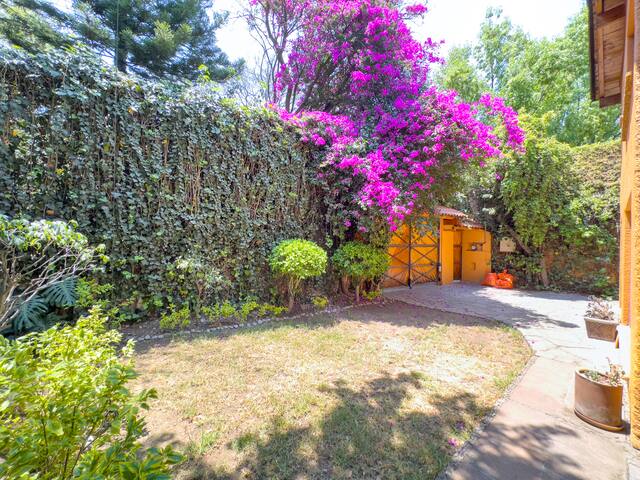 Chapultepec, Polanco, millionaires neighborhood. gallery image 3