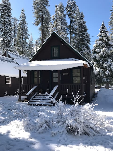 Cabin 1928 with EV charger