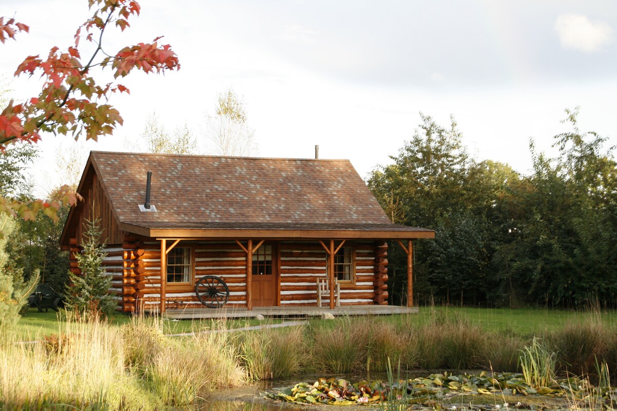 The cabin features a traditional log exterior, set against a backdrop of trees and a tranquil pond. A spacious porch extends in front, with a simple chair positioned on the deck, offering a view of the surrounding landscape and a peaceful atmosphere.
