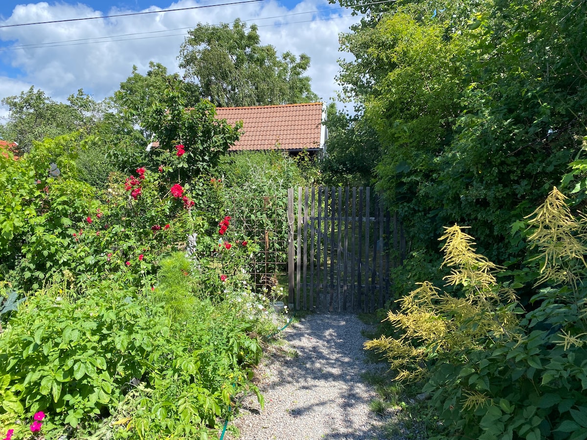 A garden pathway is framed by lush greenery and colorful flowers, leading to a wooden gate. The surrounding foliage creates a serene entrance, with hints of vibrant roses and other plants adding natural beauty.